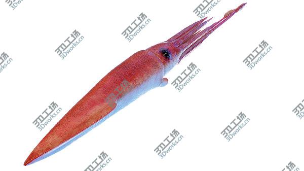 images/goods_img/20210312/3D Giant Squid/3.jpg